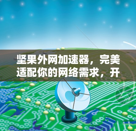 坚果外网加速器,完美适配你的网络需求,开启高效传输之旅