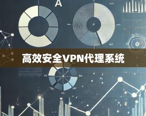 高效安全VPN代理系统 高效安全VPN代理系统