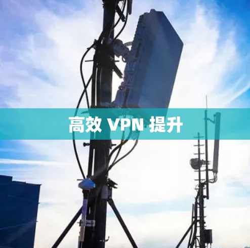 高效 VPN 提升 高效 VPN 提升