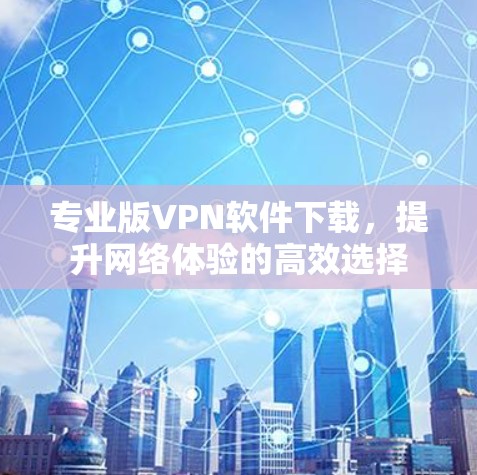 专业版VPN软件下载,提升网络体验的高效选择 专业版VPN软件下载,提升网络体验的高效选择
