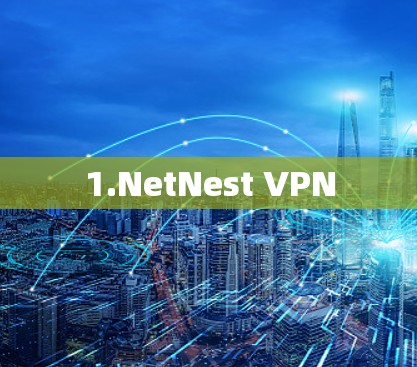 1.NetNest VPN 1.NetNest VPN