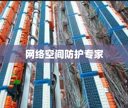 网络空间防护专家 网络空间防护专家