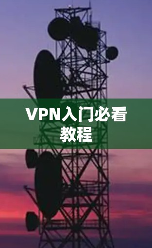 VPN入门必看教程 VPN入门必看教程