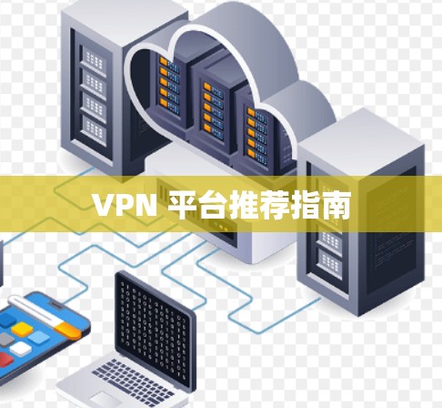 VPN 平台推荐指南 VPN 平台推荐指南