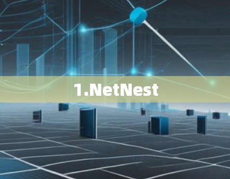 1.NetNest 1.NetNest