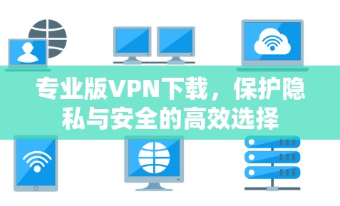 专业版VPN下载,保护隐私与安全的高效选择 专业版VPN下载,保护隐私与安全的高效选择
