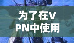 为了在VPN中使用免费的外网工具,您可以考虑以下几种选项,每种工具各有其功能和适用场景 为了在VPN中使用免费的外网工具,您可以考虑以下几种选项,每种工具各有其功能和适用场景