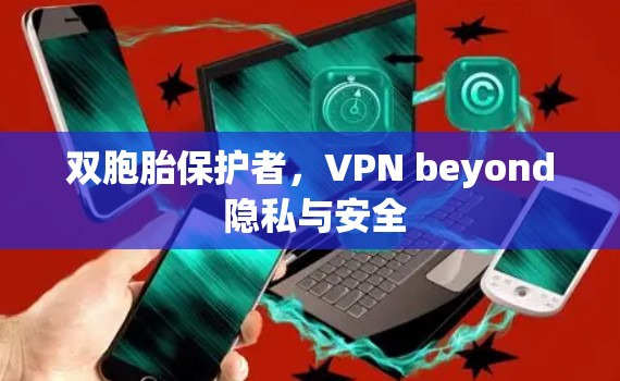 双胞胎保护者,VPN beyond 隐私与安全 双胞胎保护者,VPN beyond 隐私与安全