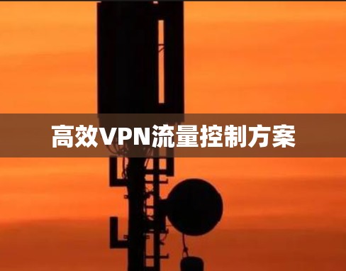 高效VPN流量控制方案