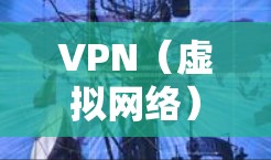VPN(虚拟网络)是一项帮助用户访问互联网的虚拟设备。它通过网络加密技术,将用户连接到一个虚拟网络中,从而实现对实时互联网的访问。以下是几个常见的VPN推荐平台,供你参考 VPN(虚拟网络)是一项帮助用户访问互联网的虚拟设备。它通过网络加密技术,将用户连接到一个虚拟网络中,从而实现对实时互联网的访问。以下是几个常见的VPN推荐平台,供你参考