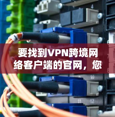 要找到VPN跨境网络客户端的官网,您可以按照以下步骤进行 要找到VPN跨境网络客户端的官网,您可以按照以下步骤进行
