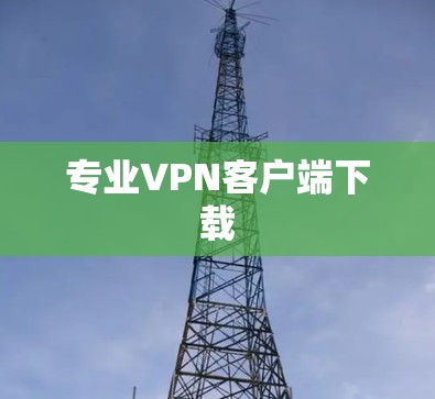 专业VPN客户端下载