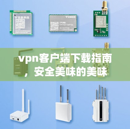 vpn客户端下载指南，安全美味的美味