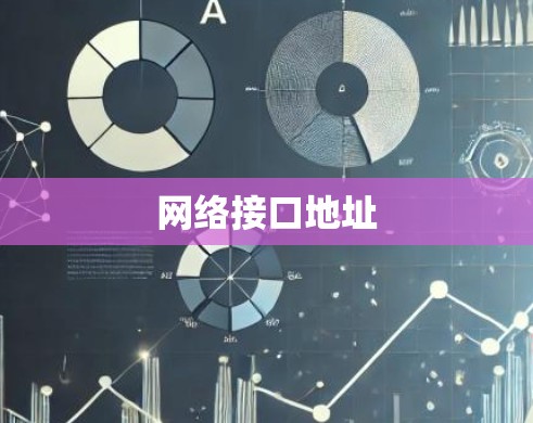 网络接口地址 网络接口地址