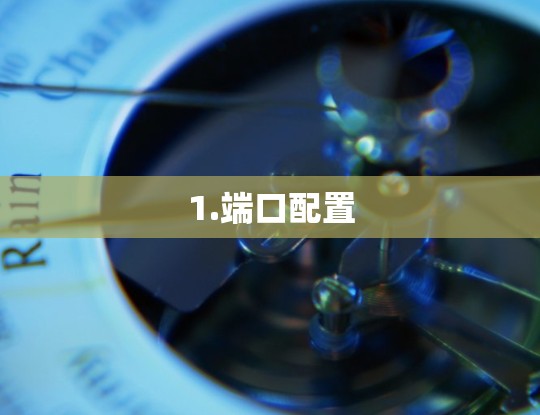 1.端口配置 1.端口配置