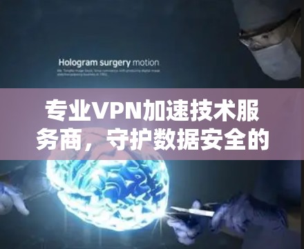 专业VPN加速技术服务商,守护数据安全的隐形守护者 专业VPN加速技术服务商,守护数据安全的隐形守护者