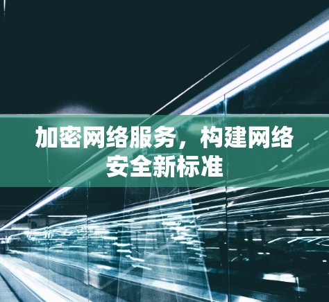 加密网络服务，构建网络安全新标准