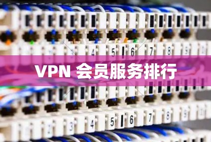 VPN 会员服务排行 VPN 会员服务排行
