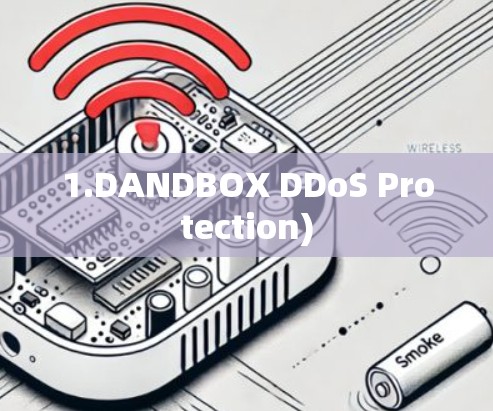 1.DANDBOX DDoS Protection) 1.DANDBOX DDoS Protection)