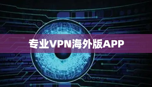 专业VPN海外版APP 专业VPN海外版APP