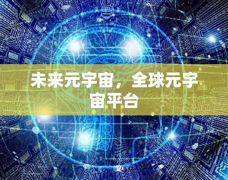 未来元宇宙,全球元宇宙平台 未来元宇宙,全球元宇宙平台