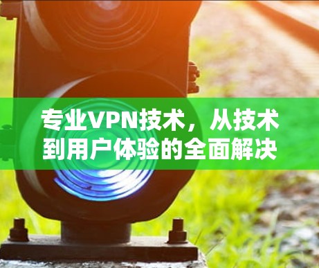 专业VPN技术,从技术到用户体验的全面解决方案 专业VPN技术,从技术到用户体验的全面解决方案