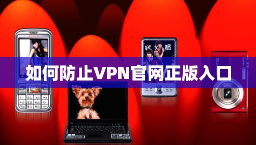 如何防止VPN官网正版入口 如何防止VPN官网正版入口