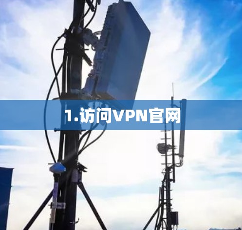 1.访问VPN官网 1.访问VPN官网