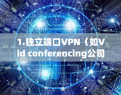 1.独立端口VPN(如Vid conferencing公司提供的) 1.独立端口VPN(如Vid conferencing公司提供的)