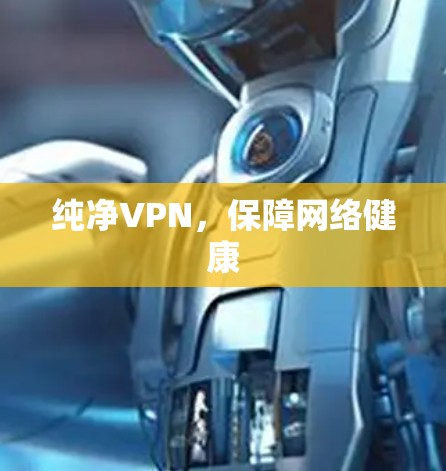 纯净VPN，保障网络健康
