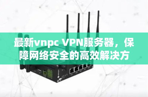 最新vnpc VPN服务器，保障网络安全的高效解决方案