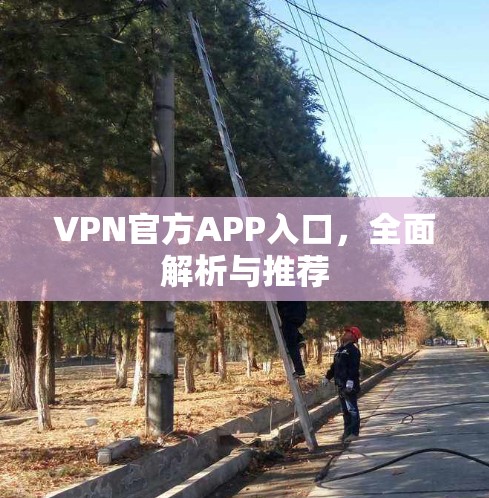 VPN官方APP入口,全面解析与推荐