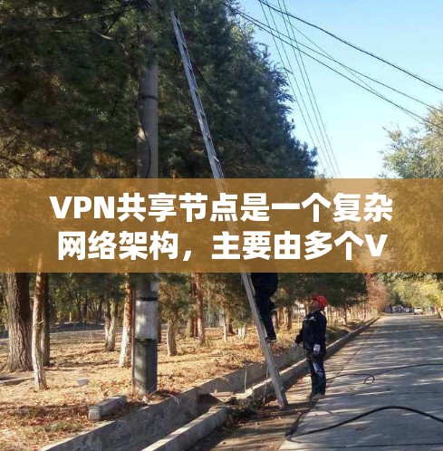 VPN共享节点是一个复杂网络架构，主要由多个VPN服务器和共享节点组成。以下是关于VPN共享节点的详细说明