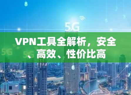 VPN工具全解析,安全、高效、性价比高