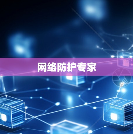 网络防护专家