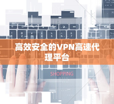 高效安全的VPN高速代理平台