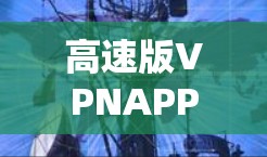 高速版VPNAPP,高效网络守护者的终极力量