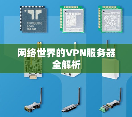 网络世界的VPN服务器全解析