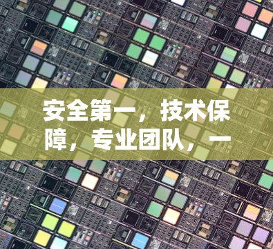 安全第一,技术保障,专业团队,一款专业VPN品牌