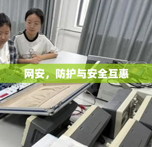 网安,防护与安全互惠